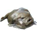 uzggHYr1_400x400.png