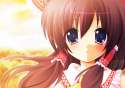 blue_eyes brown_hair konomi touhou-541d919fe540f4ff19281c8503647d6e.jpg