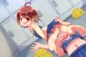 sample_c34e7801f442be8be6edce55995d7d7e.jpg