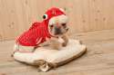 2013-Newest-Pet-Halloween-costume-Pet-Three-dimensional-goldfish-clothes-cheap-dog-charm-clothing-free-shipping.jpg
