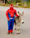 spooderman3.jpg
