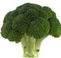 brocborc.jpg, 25KiB, 308x294 1383924973441s.jpg