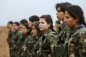 YPG-1024x687.jpg