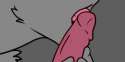 tumblr_o63sn6VGAL1upwawyo1_500.gif