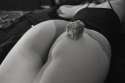 DSC_0330xxz.jpg