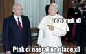 ptak.jpg