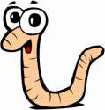 worm_01-286x300.jpg