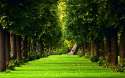 forest-wallpapers-high-resolution-1.jpg