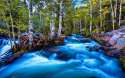 884089-scenery-wallpaper-hd.jpg