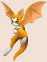 Fidget_Sketch_Flying_Transparent.png