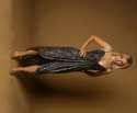 Kristen-Bell-Feet-1911823.jpg