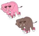 elephant in converses.png
