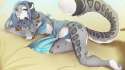 cheetahbutterfly.jpg