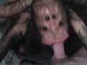 image.gif
