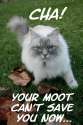 cat death by sam.jpg