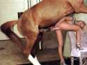 Beastiality14.jpg