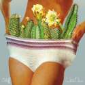 white-denim-stiff-new-album.png
