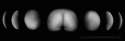 moon phases ass.jpg