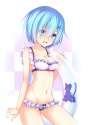 rem69.jpg