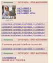 Kingofquints.png