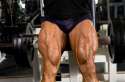 Build-Muscular-Thighs.jpg