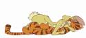 1139726_raroon_warm.png