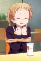 31.gif