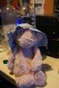 DSC04635.jpg