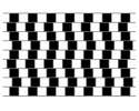 illusion1.jpg