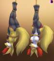 Furry Yiffy 1449580556.pheonixbat_funswing.jpg