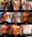 bodyfat_examples.jpg