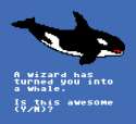 a wizard has turned you into a whale.png