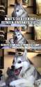 neo-dogo.jpg