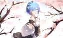 rem2.png