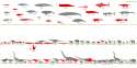 animals_chart_by_sameerprehistorica-d5zb74z.jpg