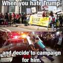 Illegals_247ffa_5905476.jpg