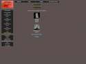 FireShot Pro Screen Capture #522 - 'BrantSteele Hunger Games Simulator' - brantsteele_net_hungergames_fallentributes5_php.png