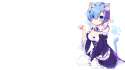 rem77.jpg