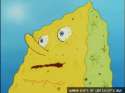SpongebobNoWater.gif