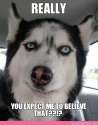 really-you-expect-me-to-believe-th.jpg
