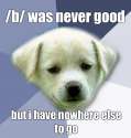 1277688831932.png
