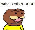 hahaha_benis.jpg