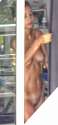 S2360008.00_00_04_04.Image fixe010_mrec.jpg