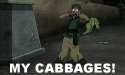 cabbages.gif