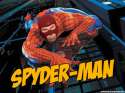 spidey1.jpg