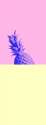 tumblr_nmm2rj3Y471thlmx3o1_500.gif