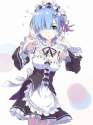 rem31.jpg