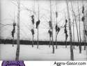 aggro-gatordotcom117174.jpg