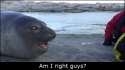 1455580025991.gif
