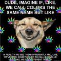 tumblr_kyua2d4FaD1qzekdio1_400.jpg